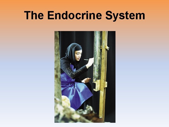 The Endocrine System The Endocrine System