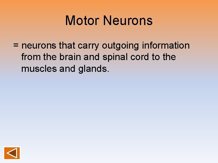 Motor Neurons = neurons that carry outgoing information from the brain and spinal cord