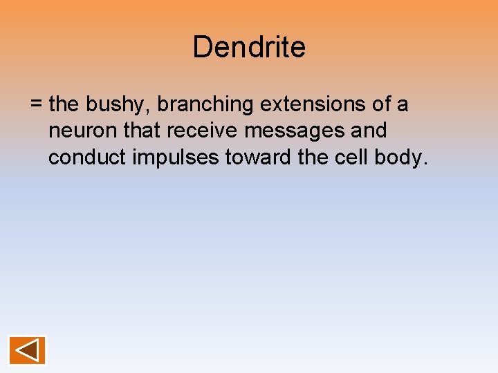 Dendrite = the bushy, branching extensions of a neuron that receive messages and conduct