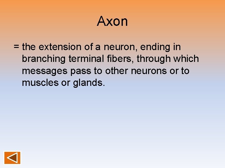 Axon = the extension of a neuron, ending in branching terminal fibers, through which