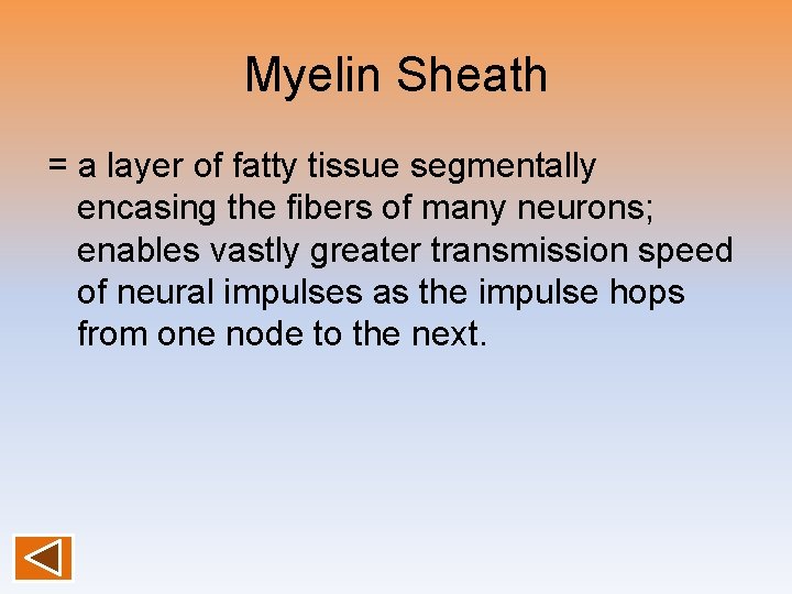 Myelin Sheath = a layer of fatty tissue segmentally encasing the fibers of many