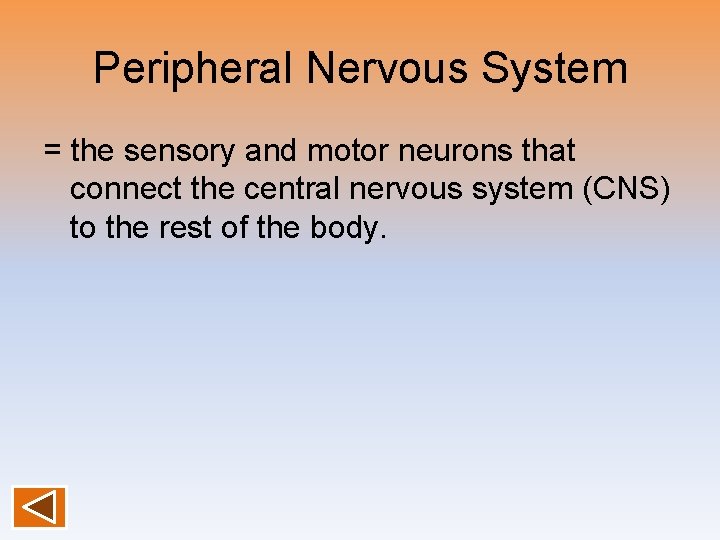 Peripheral Nervous System = the sensory and motor neurons that connect the central nervous