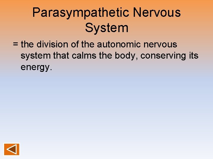 Parasympathetic Nervous System = the division of the autonomic nervous system that calms the