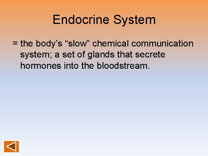 Endocrine System = the body’s “slow” chemical communication system; a set of glands that