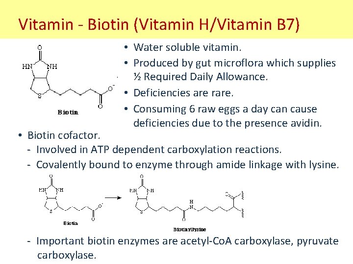 Vitamin - Biotin (Vitamin H/Vitamin B 7) • Water soluble vitamin. • Produced by