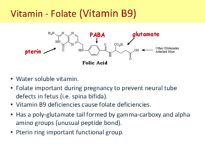 Vitamin - Folate (Vitamin B 9) PABA glutamate pterin • Water soluble vitamin. •