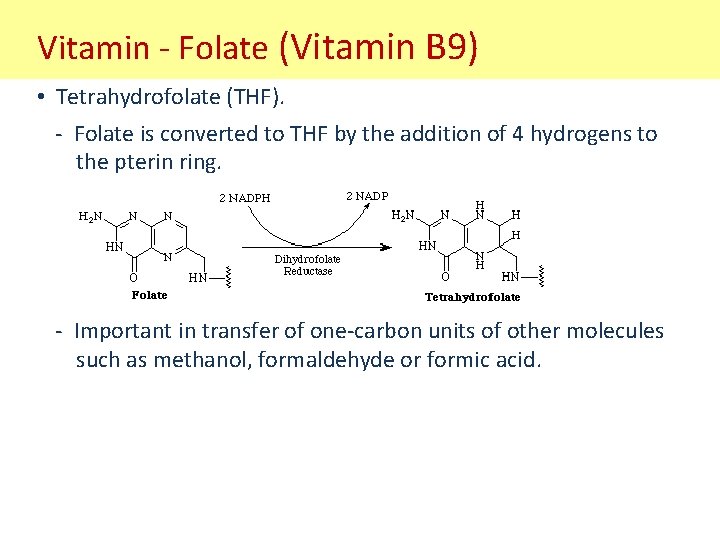 Vitamin - Folate (Vitamin B 9) • Tetrahydrofolate (THF). - Folate is converted to