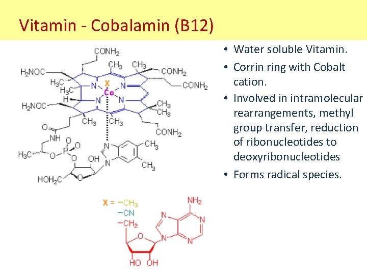 Vitamin - Cobalamin (B 12) • Water soluble Vitamin. • Corrin ring with Cobalt