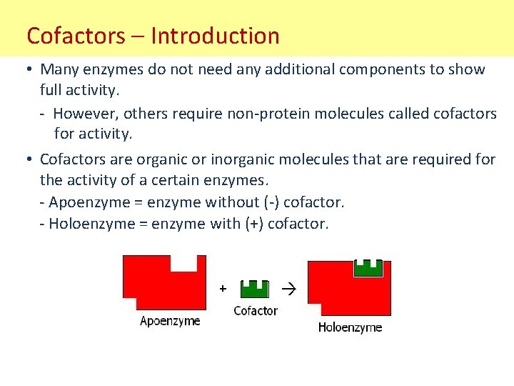 Cofactors – Introduction • Many enzymes do not need any additional components to show