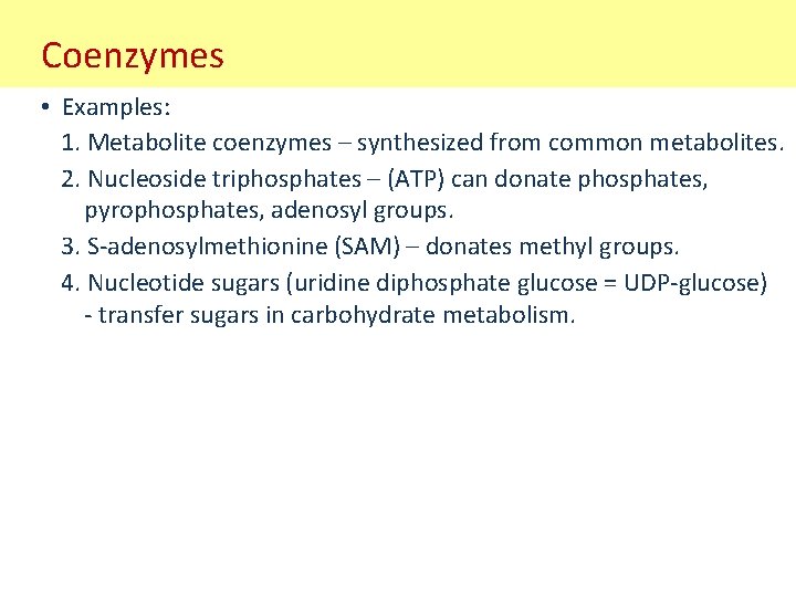 Coenzymes • Examples: 1. Metabolite coenzymes – synthesized from common metabolites. 2. Nucleoside triphosphates