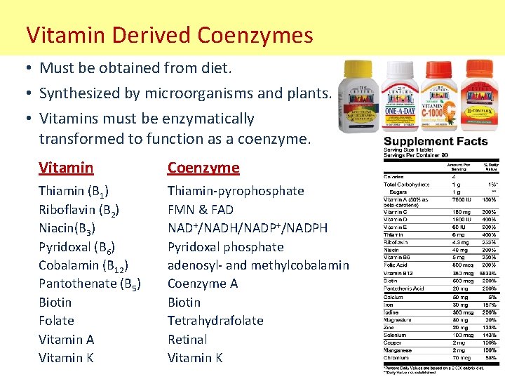 Vitamin Derived Coenzymes • Must be obtained from diet. • Synthesized by microorganisms and