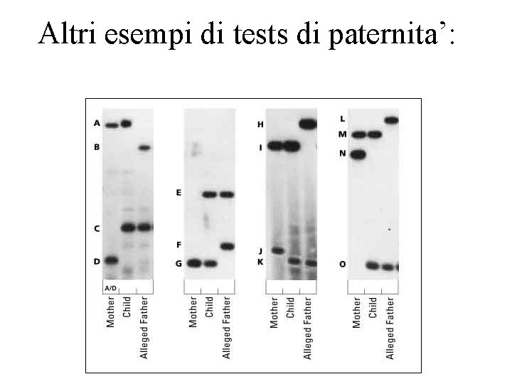 Altri esempi di tests di paternita’: 