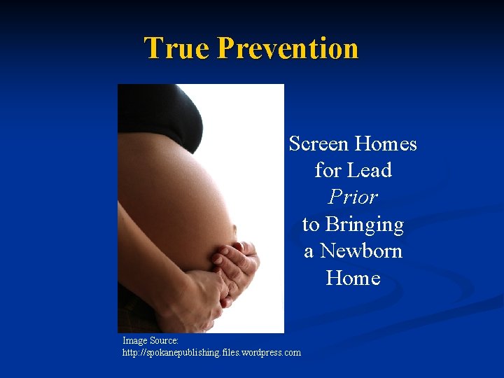 True Prevention Screen Homes for Lead Prior to Bringing a Newborn Home Image Source: True Prevention Screen Homes for Lead Prior to Bringing a Newborn Home Image Source: