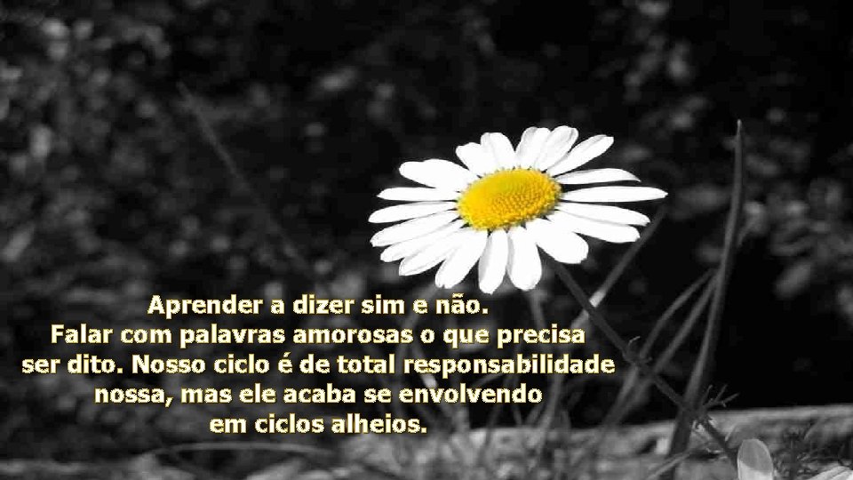 Aprender a dizer sim e não. Falar com palavras amorosas o que precisa ser