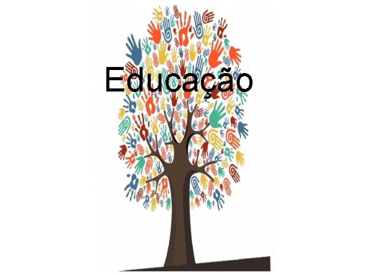 Educação 