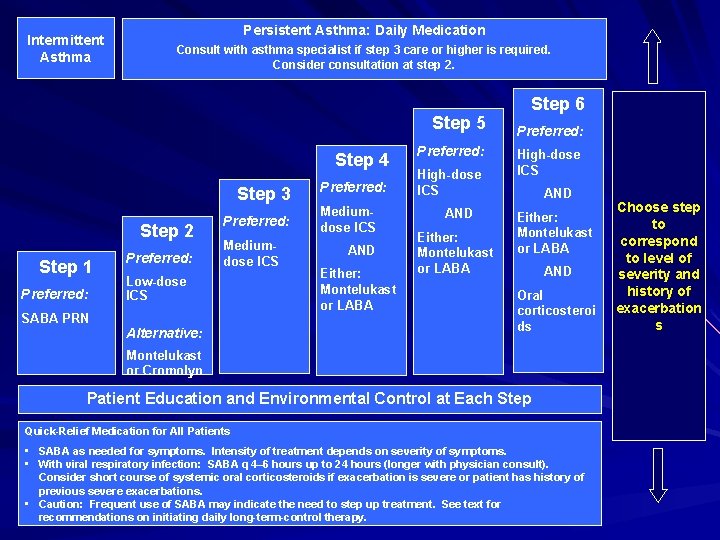 Intermittent Asthma Persistent Asthma: Daily Medication Consult with asthma specialist if step 3 care