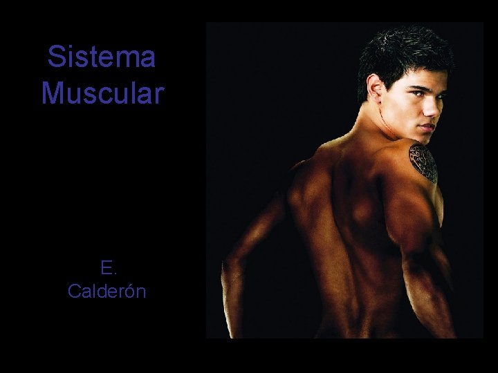 Sistema Muscular E. Calderón 