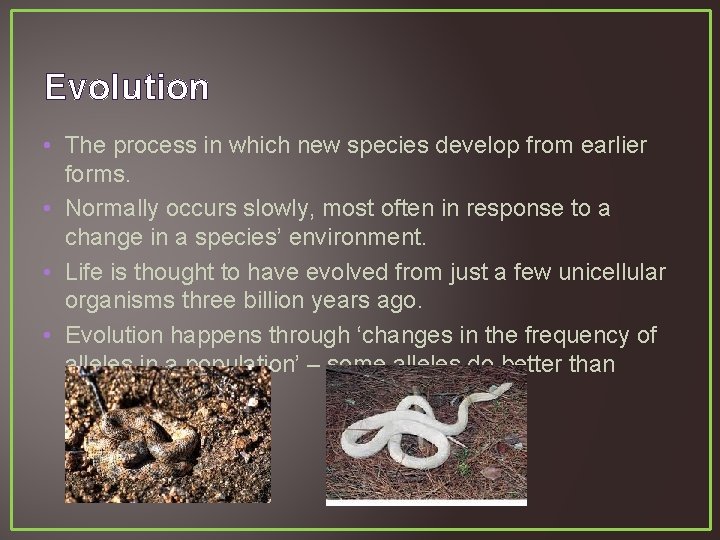 Evolution • The process in which new species develop from earlier forms. • Normally