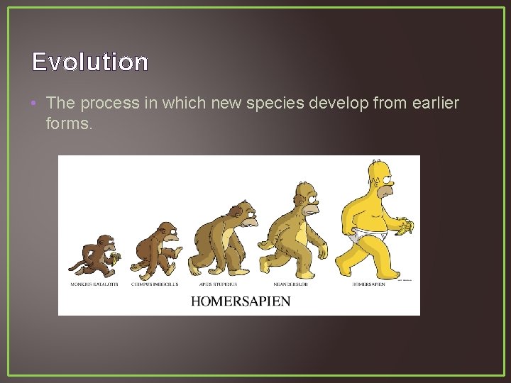 Evolution • The process in which new species develop from earlier forms. 