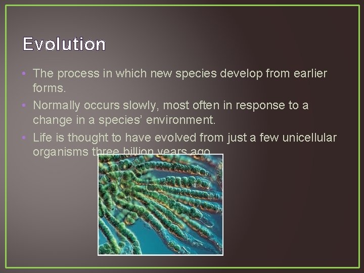 Evolution • The process in which new species develop from earlier forms. • Normally