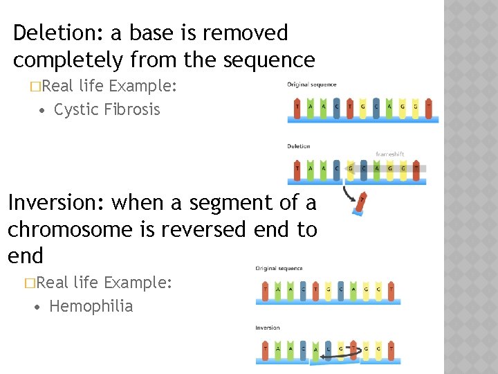 Deletion: a base is removed completely from the sequence �Real life Example: • Cystic