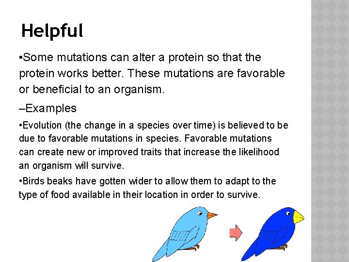 Helpful • Some mutations can alter a protein so that the protein works better.