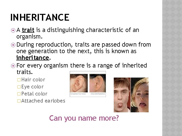 INHERITANCE ⦿A trait is a distinguishing characteristic of an organism. ⦿ During reproduction, traits