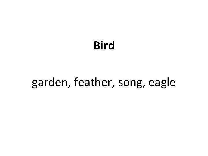 Bird garden, feather, song, eagle 