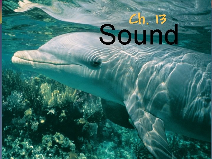 Ch. 13 Sound 