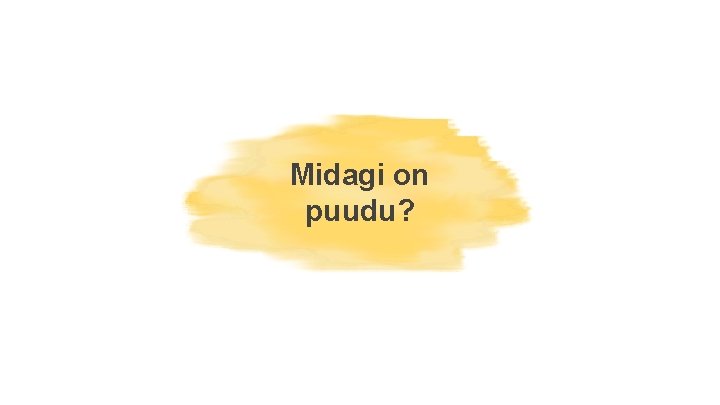 Midagi on puudu? 