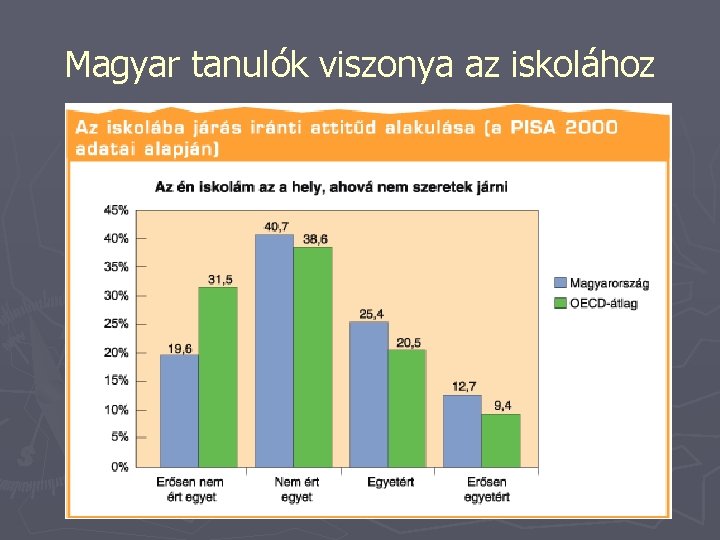 Magyar tanulók viszonya az iskolához Magyar tanulók viszonya az iskolához