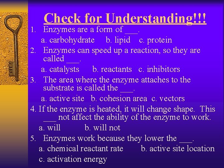Check for Understanding!!! 1. Enzymes are a form of ___. a. carbohydrate b. lipid