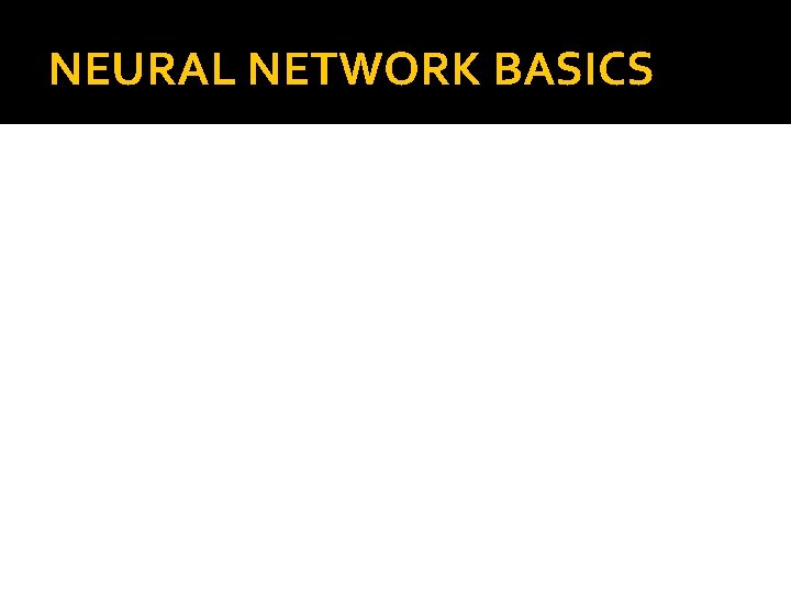 NEURAL NETWORK BASICS 