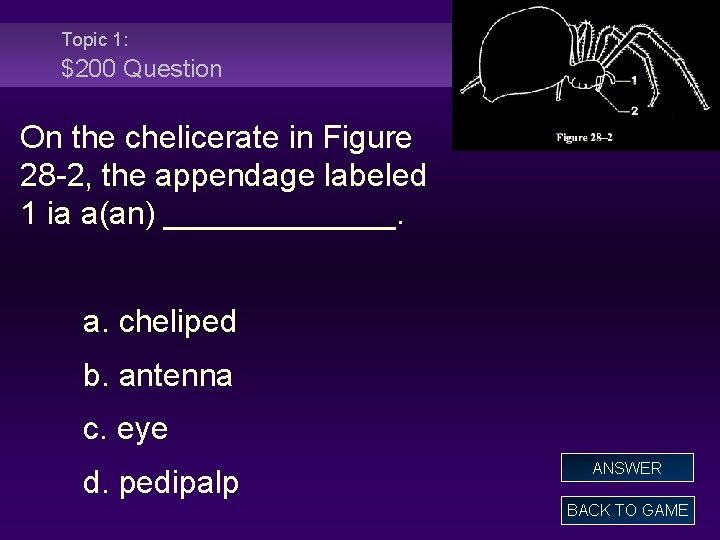 Topic 1: $200 Question On the chelicerate in Figure 28 -2, the appendage labeled