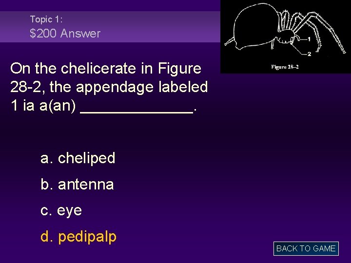 Topic 1: $200 Answer On the chelicerate in Figure 28 -2, the appendage labeled
