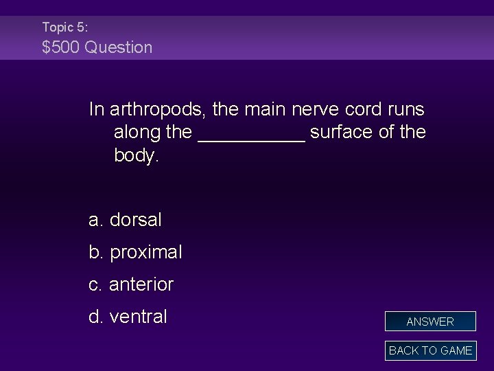 Topic 5: $500 Question In arthropods, the main nerve cord runs along the _____