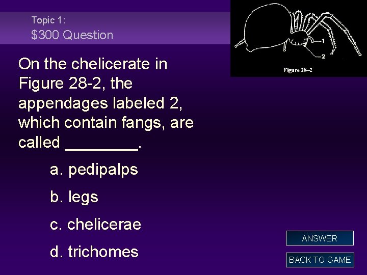 Topic 1: $300 Question On the chelicerate in Figure 28 -2, the appendages labeled