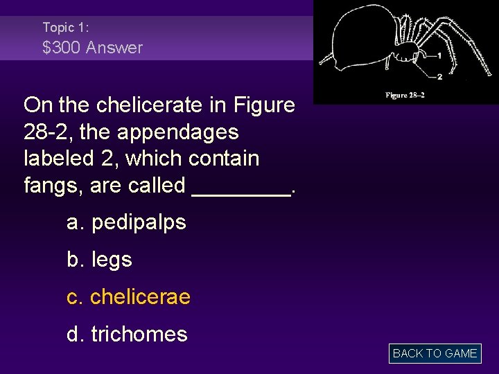 Topic 1: $300 Answer On the chelicerate in Figure 28 -2, the appendages labeled
