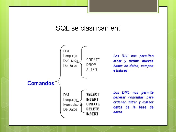 SQL se clasifican en: 