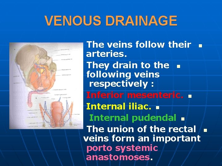 VENOUS DRAINAGE The veins follow their n arteries. They drain to the n following