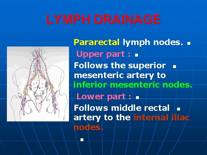 LYMPH DRAINAGE Pararectal lymph nodes. n Upper part : n Follows the superior n