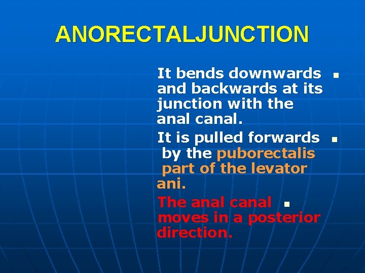 ANORECTALJUNCTION It bends downwards and backwards at its junction with the anal canal. It