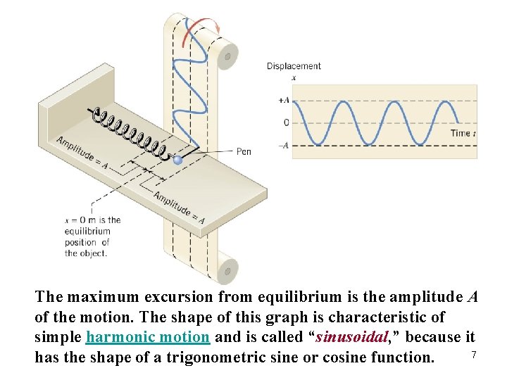 The maximum excursion from equilibrium is the amplitude A of the motion. The shape