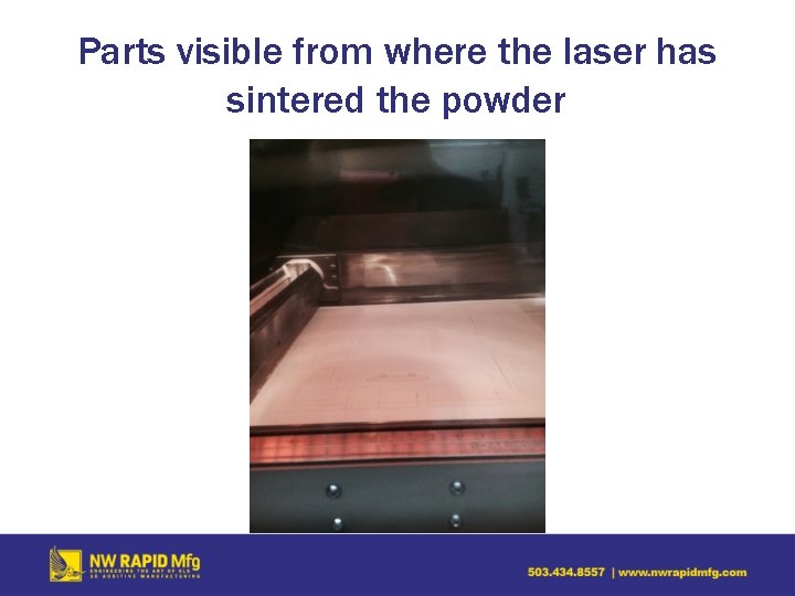 Parts visible from where the laser has sintered the powder 