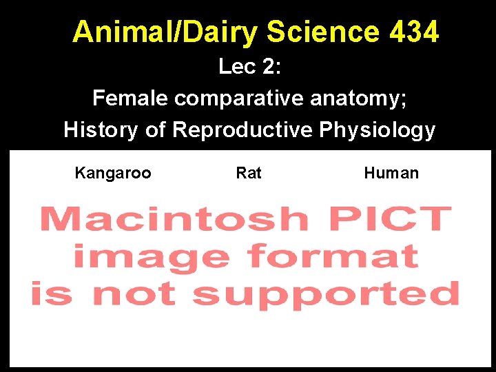 Animal/Dairy Science 434 Lec 2: Female comparative anatomy; History of Reproductive Physiology Kangaroo Rat