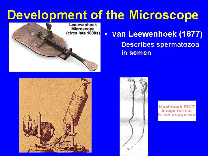 Development of the Microscope • van Leewenhoek (1677) – Describes spermatozoa in semen 