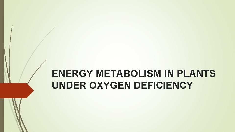 ENERGY METABOLISM IN PLANTS UNDER OXYGEN DEFICIENCY 