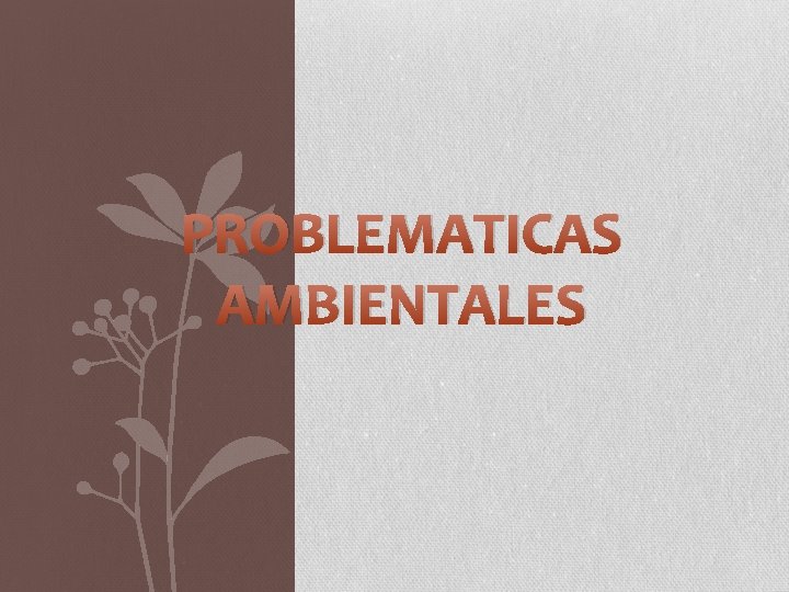 PROBLEMATICAS AMBIENTALES 