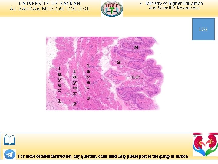 UNIVERSITY OF BASRAH AL-ZAHRAA MEDICAL COLLEGE • Ministry of higher Education and Scientific Researches