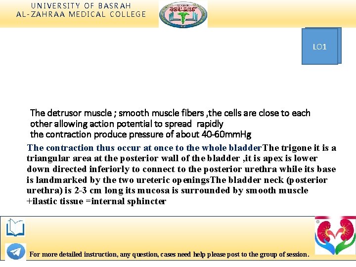 UNIVERSITY OF BASRAH AL-ZAHRAA MEDICAL COLLEGE LO 1 The detrusor muscle ; smooth muscle